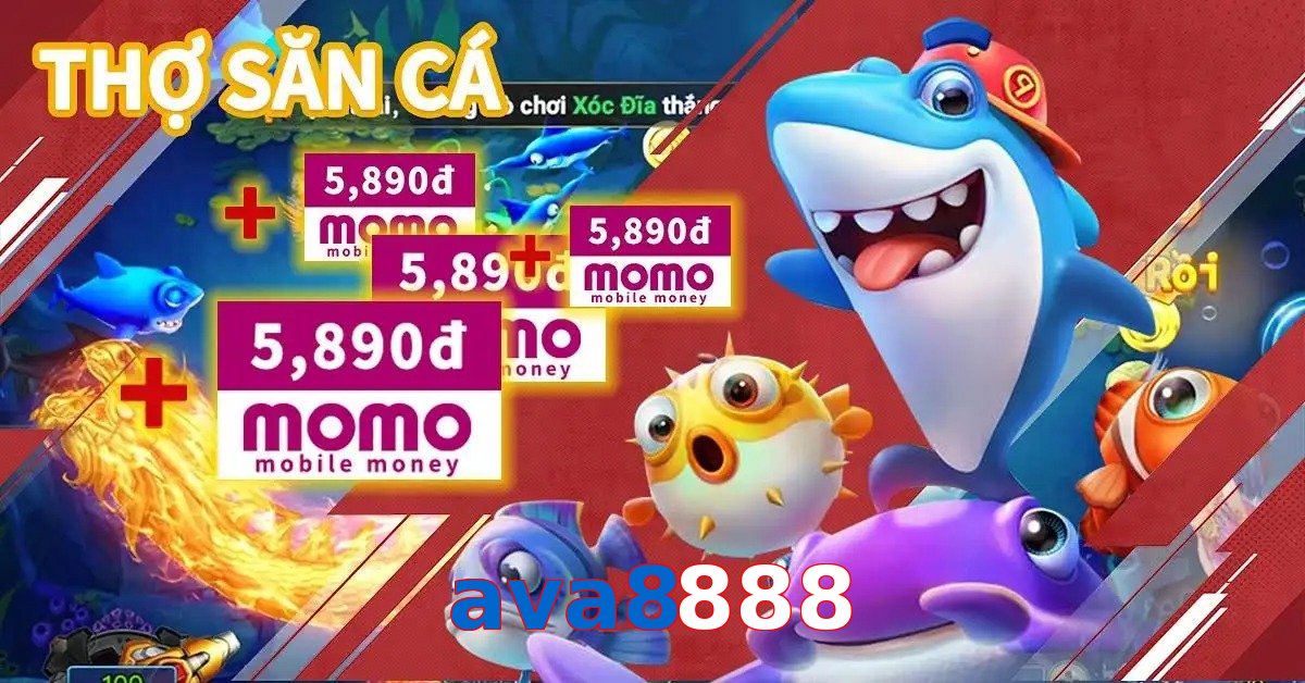 ava8888